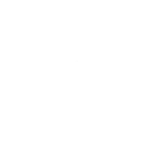 Icon Apply Weiß