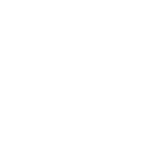 Icon Fast Weiß